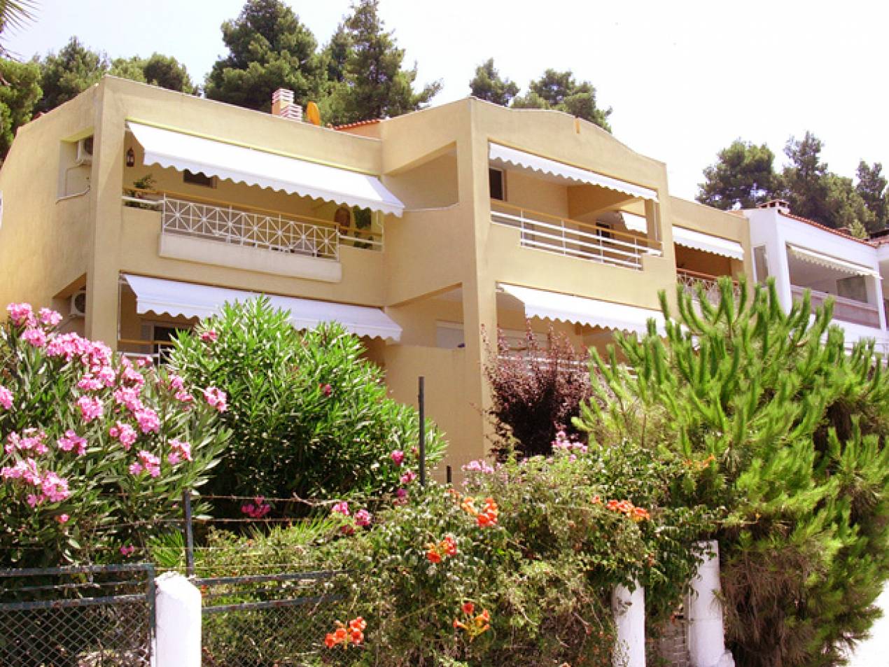 &Delta;&Iota;&Omega;&Rho;&Omicron;&Phi;&Omicron; &Kappa;&Tau;&Iota;&Rho;&Iota;&Omicron; &Delta;&Iota;&Alpha;&Mu;&Epsilon;&Rho;&Iota;&Sigma;&Mu;&Alpha;&Tau;&Omega;&Nu; &Sigma;&Tau;&Eta; &Sigma;&Iota;&Beta;&Eta;&Rho;&Eta; &Chi;&Alpha;&Lambda;&Kappa;&Iota;&Delta;&Iota;&Kappa;&Eta;&Sigma;